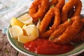 Calamari rings fried in breadcrumbs macro with ketchup and lemon Royalty Free Stock Photo