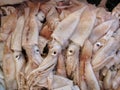 Calamary in Market Royalty Free Stock Photo