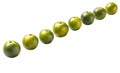 Calamondin Or Calamansi Lime IV Royalty Free Stock Photo