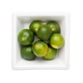 Calamondin Royalty Free Stock Photo