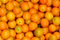 Calamondin orange