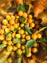 Calamondin oranges