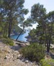 Calanques of cassis, marseille Royalty Free Stock Photo