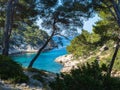 Calanques, France - May 19th 2022: Pine trees in front of a romantic rocky bay Royalty Free Stock Photo