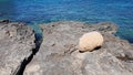 Calas de Mallorca. Royalty Free Stock Photo