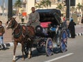 Calash driver. Luxor. Egypt Royalty Free Stock Photo