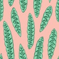 Calathea Lancifolia leaves seamless pattern tropical plant leaf background, spotted green leaves exotic dots botanical organic