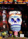 Calaverita day of the dead in xochimilco, mexico city