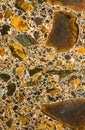 Calcareous breccia from Italy Royalty Free Stock Photo