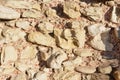 Calcareous stones and red bricks texture Royalty Free Stock Photo