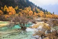 Calcification ponds in autumn forest