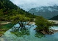 Calcification ponds at Huanglong, Sichuan, China Royalty Free Stock Photo