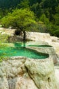 Calcification ponds at Huanglong, Sichuan, China Royalty Free Stock Photo