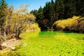 Calcified Ponds of Huanglong