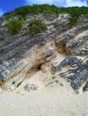 Weathered and tilted limestone beds covered in vegetation