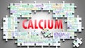Calcium as a complex subject, related to important topics spreading around as a word cloud