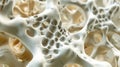 Calcium Chronicles: Exploring Bone Mass and Structure