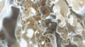 Calcium Chronicles: Exploring Bone Mass and Structure