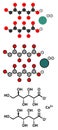 Calcium gluconate drug. Soluble form of Ca, used to treat magnesium overdose, hypocalcemia and hydrofluoric acid (HF) burns