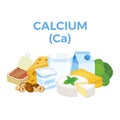 Calcium (Ca) in food icon vector