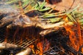 calcots, sweet onions typical of Catalonia, Spain, in the barbecue Royalty Free Stock Photo