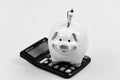 Calculation of annual income. saving money. First salary. piggy bank with calculator. Moneybox. family budget. business
