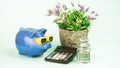 Calculator piggy bank jar with dollars and flowers in pot Royalty Free Stock Photo