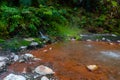 Caldeira Velha waterfall and pool at Sao Miguel - Azores Island, Portugal Royalty Free Stock Photo