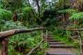 Caldeira Velha waterfall and pool at Sao Miguel - Azores Island, Portugal Royalty Free Stock Photo