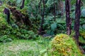 Caldeira Velha waterfall and pool at Sao Miguel - Azores Island, Portugal Royalty Free Stock Photo