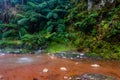 Caldeira Velha waterfall and pool at Sao Miguel - Azores Island, Portugal Royalty Free Stock Photo