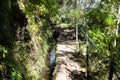 Caldeirao Verde levadas hiking walkway in Madeira mountain