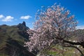 Caldera de Tejeda in winter Royalty Free Stock Photo