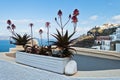 Caldera view from Thira to Imerovigli at Santorini island