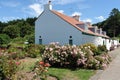 Caldey Houses Royalty Free Stock Photo