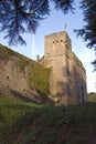 Caldicot Castle Royalty Free Stock Photo