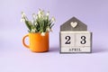 Calendar for April 23: cubes with the number 23, the name of the month of April in English, a bouquet of snowdrops in a yellow tea