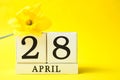 Calendar and bouquet of Narcissus, Easter Royalty Free Stock Photo