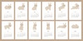 Calendar 2023 with cute rabbit. 12 month vertical pages schedule hare character mascot symbol year. Cute bunny 2023 to