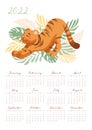 Calendar for 2022 Cute stretching tiger growls roar, vector illustration in cartoon style. For For children, study, work