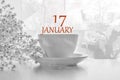 Calendar date on light background with porcelain white tea pair and white gypsophila with copy space. January 17 is the