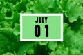 Calendar date oncalendar date on the background of green lettuce leaves. July 1 is the first day of the month