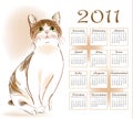 Calendar design 2011 Royalty Free Stock Photo