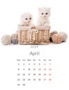 April 2024 Photo calendar with cute cats