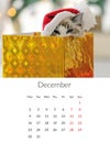 December 2024 Photo calendar with cute cat