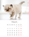 March 2024 Photo calendar with cute cat