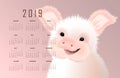 Calendar with the eastern symbol of 2019 the Pig. Happy smiling cute small piggy vector illustartion on pink background