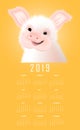 Calendar with the eastern symbol of 2019 the Pig. Happy smiling piggy vector illustartion on yellow background