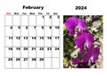 Calendar for 2024, February, with a photo of tropical flowers
