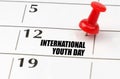 On the calendar grid, the date and name of the holiday - International Youth Day